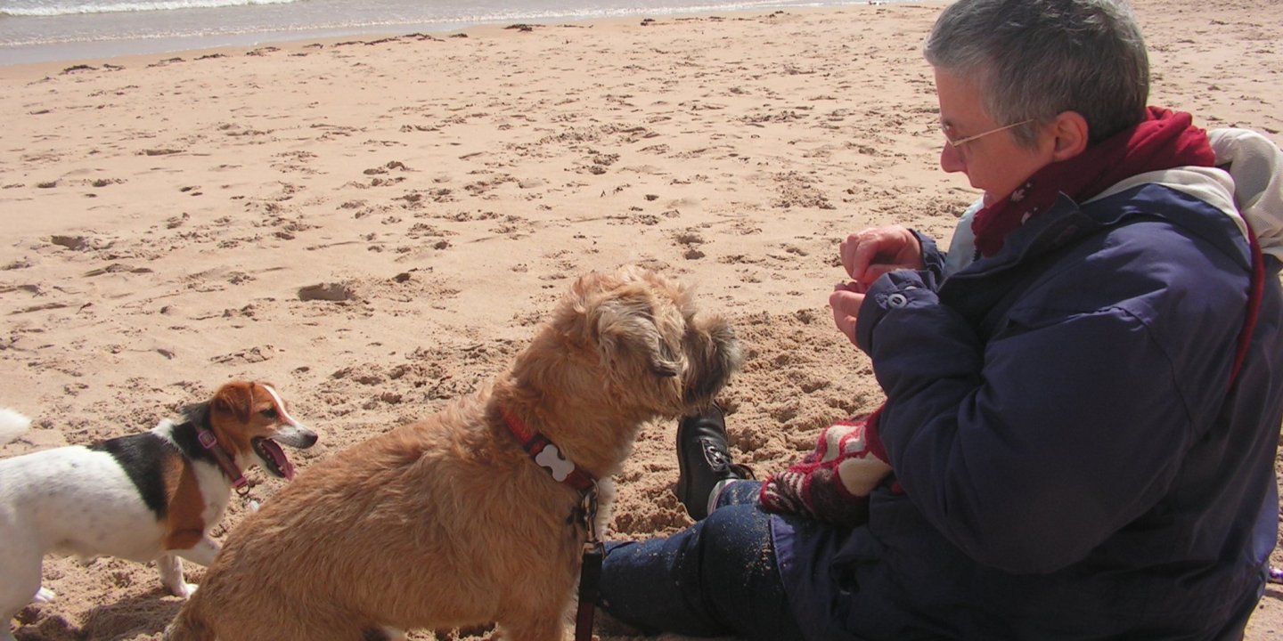 Annie with her jack russell, Milly, and border terrier, Bruno, on the beach