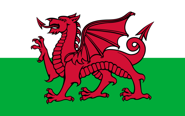 Image shows a red dragon on a background of green and white