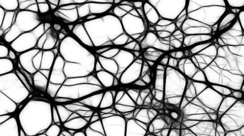 A black and white image of the neural connections in the brain. 